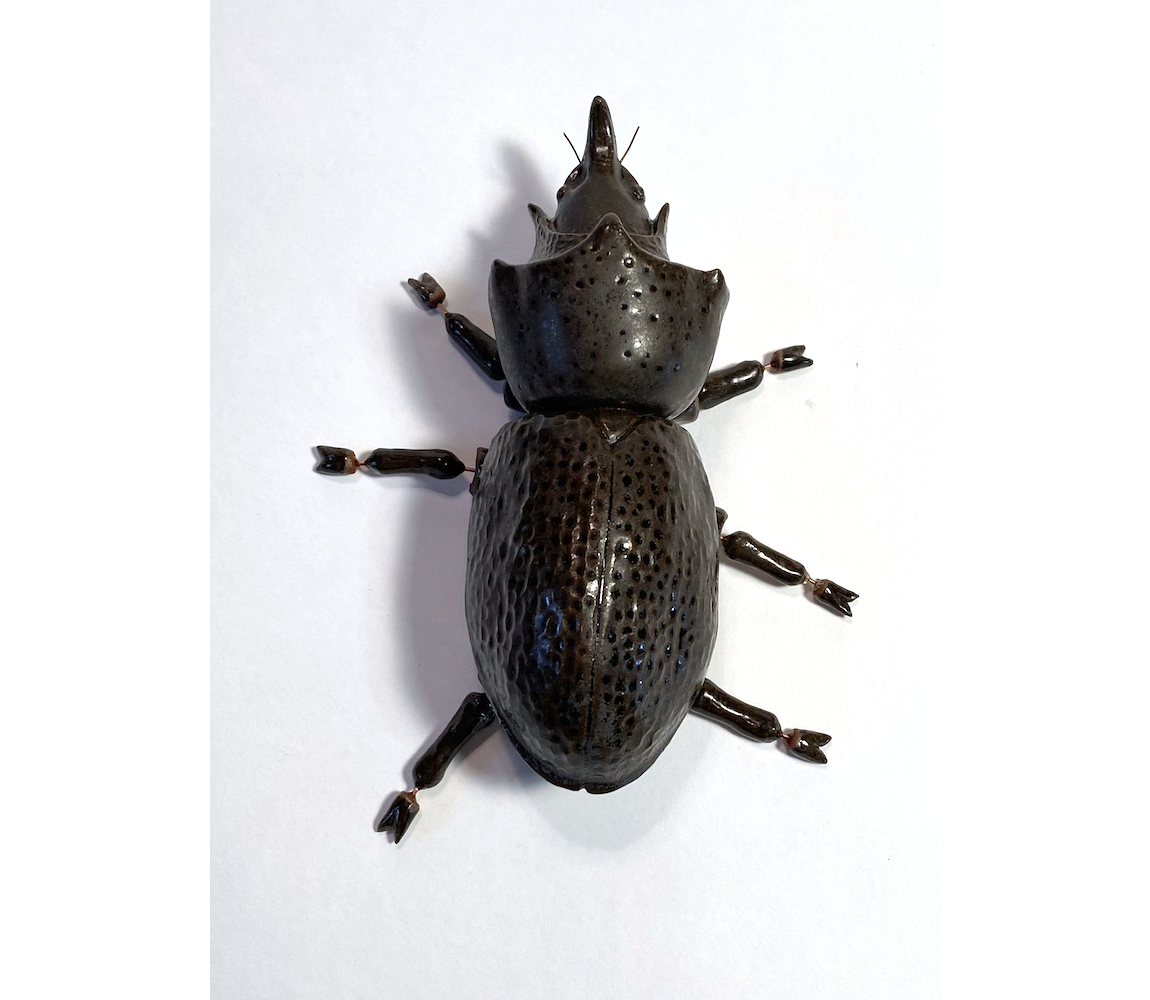 Forficatus Rubrum - Joelle Montez Fine Ceramic Sculpture